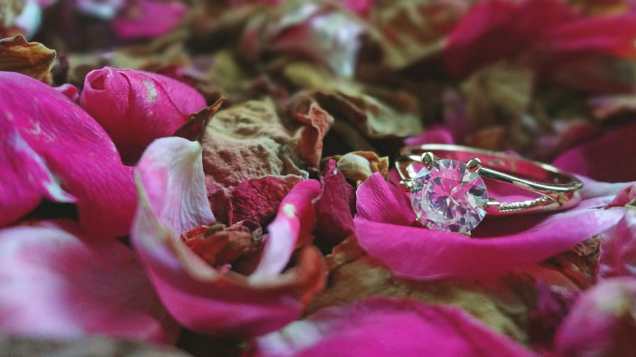 squillare, nozze, luce, morbido, Rose, oro, cristallo, fiore, colore rosa, petalo, messa a fuoco selettiva, viola, nessuno, pianta fiorita, pianta, bellezza nella natura, avvicinamento, freschezza, vulnerabilità, fragilità, crescita, natura, infiorescenza, testa di fiore, giorno, all'aperto, acqua, polline, primavera, composizione floreale, goccia di pioggia, 4K