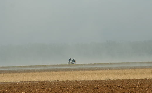 bikes, fields, mist, landscape, field, early in the morning, autumn, fog, environment, land, scenics - nature, animal themes, nature, animal, animal wildlife, beauty in nature, mammal, dust, sky, animals in the wild, plant, remote, day, no people, tranquility, outdoors, climate, arid climate, 2K, CC0, public domain, royalty free