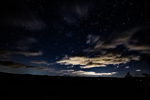 silhuett, träd, nattetid, molnbildning, natt, himmel, moln, mörk, stjärnor, stjärna - utrymme, rymden, astronomi, scenics - natur, skönhet i naturen, lugn, moln - himmel, natur, inget folk, lugn plats, stjärna, galax, stjärnfältet, lågvinkelvy, utomhus, miljö, 5K, CC0, offentligt domän, royaltyfria