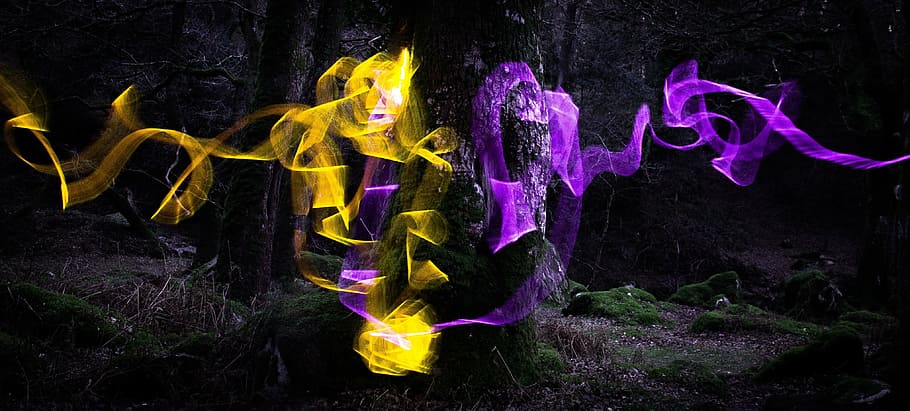 albero, luce, lento, foresta, paesaggio, natura, notte, buio, all'aperto, Magia, illuminazione esterna, sillabare, magico, mistico, fotografia, illuminato, creatività, giallo, nessuno, arte e artigianato, movimento, acqua, multicolore, sfondo nero, viola, comunicazione, rappresentazione, raggiante, lunghezza intera, 4K