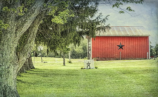 granero, rústico, graneros, Ohio, arte digital, rural, escénico, país, campo, paisaje, cobertizo, cobertizos, granja, granjas, agricultura, agrícola, casa de Campo, champaign, condado, americana, foto, fotografía, estructura, estructuras, Sturgell, William Sturgell, Bill Sturgell, histórico, decoración del hogar, edificios, nubes, cielo, árbol, arboles, nublado, malas hierbas, condado de champaign, urbana, planta, hierba, naturaleza, crecimiento, arquitectura, día, estructura construida, exterior del edificio, color verde, nadie, casa, al aire libre, edificio, belleza en la naturaleza, tierra, tranquilidad, luz del sol, 4K, CC0, dominio público, libre de derechos