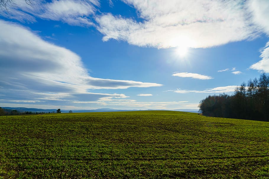 Landscape, Sun, Back Light, Summer, sky, nature, rural Scene, grass, cloud - Sky, field, meadow, outdoors, blue, scenics, green Color, non-Urban Scene, agriculture, tree, cloudscape, pasture, no People, beauty In Nature, horizon Over Land, farm, springtime, horizon, idyllic, land, season, sunlight, tranquil Scene, tranquility, scenics - nature, environment, plant, growth, day, plantation, 8K