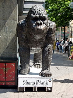 Gorilla, Affe, Zahl, lustig, Elefant, Verwechslung, falsch, grimmig, Skulptur, Darstellung, Kunst und Handwerk, Statue, Text, menschliche Darstellung, Kreativität, westliche Schrift, Kommunikation, die Architektur, Tag, Kunst, Zeichen, zufällige Menschen, die Vergangenheit, Skript, Geschichte, nicht-westliche Schrift, Sonnenlicht, gebaute Struktur, 2K, CC0, gemeinfrei, lizenzfrei