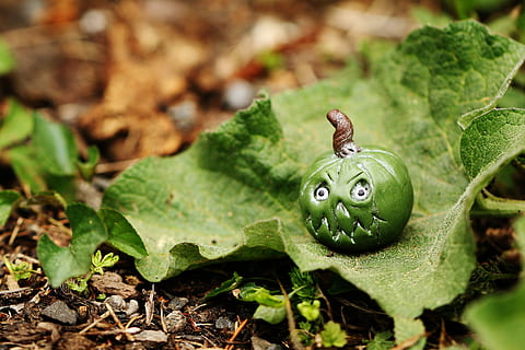 Figure, Miniature, Green, Leaf, tiny, green, leaf, green color, one animal, no people, nature, animal themes, plant part, close-up, growth, plant, food and drink, day, animal, food, drop, focus on foreground, high angle view, gastropod, water, freshness, field, 4K, CC0, public domain, royalty free