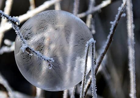 bubble, soap bubble, balls, background, winter, cold, frost, frosted soap bubble, christmas, beautiful, pattern, structure, christmas bauble, cold temperature, focus on foreground, frozen, close-up, ice, no people, snow, nature, day, vulnerability, fragility, outdoors, water, metal, selective focus, hanging, icicle, 4K, CC0, public domain, royalty free