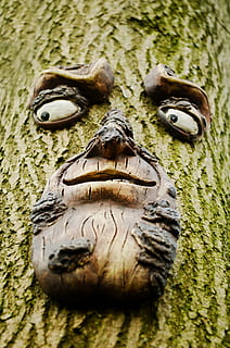 face, tree, trunk, wood, wooden, nature, art, macro, eyes, look, nice, live, natural, statue, creativity, close-up, art and craft, no people, representation, craft, textured, animal wildlife, human representation, carving - craft product, architecture, wood - material, day, outdoors, sculpture, tree trunk, selective focus, 1080P, CC0, public domain, royalty free