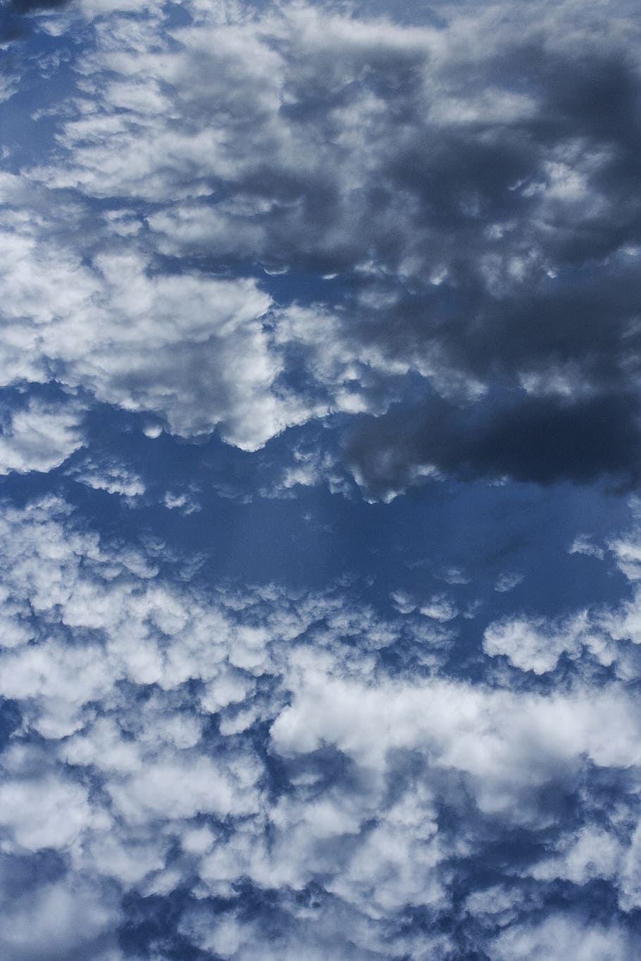 nuvens, azul, por do sol, céu, branco, nuvens brancas, natureza, panorama, verão, solar, nuvem, composição, inacreditável, fundo, espaço, manhã, origens, limpar \ limpo, abstrato, leve, de Meio Ambiente, textura, lindo, atmosfera, Paz, detalhe, padronizar, dia, ninguém, copie o espaço, oxigênio, imagem colorida, nuvem - céu, beleza na natureza, visão de baixo ângulo, scenics - natureza, tranquilidade, cena tranquila, cloudscape, ao ar livre, quadro completo, cor branca, idílico, fofo, céu dramático, meteorologia, 4K