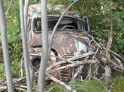cotxe, escombraries, òxid, espatllat, vell, automòbil, abandonat, rovellat, planta, terra, naturalesa, dia, cap gent, obsoleta, manera de transport, arbre, mal estat, transport, metall, declivi, aixafar, vehicle terrestre, deteriorament, roda, a l'aire lliure, arruïnat, 4K, CC0, domini públic, lliure de regalies