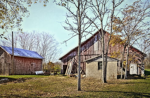 Scheune, rustikal, Scheunen, Ohio, digitale Kunst, ländlich, szenisch, Land, Landschaft, Schuppen, wirft, Bauernhof, Bauernhöfe, Landwirtschaft, landwirtschaftlich, Bauernhaus, champaign, Bezirk, Americana, Foto, fotografieren, Struktur, Strukturen, sturgell, William Sturgell, bill sturgell, historisch, Wohnkultur, Gebäude, Wolken, Himmel, Baum, Bäume, wolkig, Unkraut, Champaign County, Urbana, die Architektur, gebaute Struktur, Gebäudehülle, Pflanze, kahler Baum, Haus, Tag, keine Leute, Natur, Feld, Gras, Wohngegend, Sonnenlicht, landwirtschaftliches Gebäude, draußen, 5K, CC0, gemeinfrei, lizenzfrei