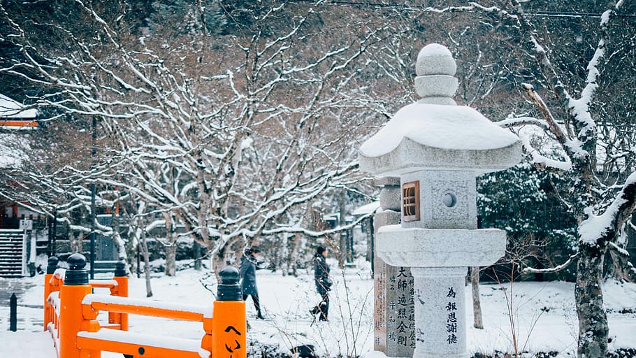 taronja, fusta, baranes de ponts, hivern, pont de fusta, baranes, neu, fred - temperatura, naturalesa, a l'aire lliure, arbre, temporada, gelades, nevar, temps, congelat, gel, vent de neu, temperatura de fred, planta, cap gent, Color blanc, dia, arbre nu, branca, bellesa a la natura, arquitectura, escenics - natura, tranquil·litat, religió, clima extrem, 4K