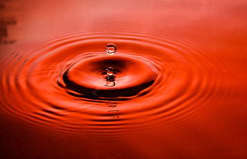 splash, aigua, ondulacions, gota, vermell, moviment, impacte, esquitxades d’aigua, tirar, naturalesa, líquid, ondulació, esquitxades, resum, reflexió, fons, superfície de l'aigua, caient, pluja, primer pla, cercle, frescor, humit, puresa, onada, gota de pluja, macro, blau, ondulat, cap gent, a l'aire lliure, bellesa a la natura, marc complet, concèntric, davant del mar, tranquil·litat, dia, fotografia d'alta velocitat, 2K, CC0, domini públic, lliure de regalies