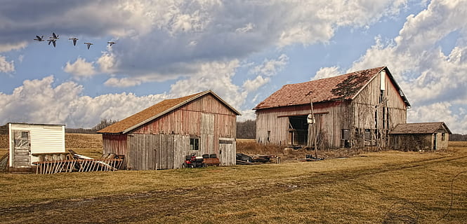 Scheune, rustikal, Scheunen, Ohio, digitale Kunst, ländlich, szenisch, Land, Landschaft, Schuppen, wirft, Bauernhof, Bauernhöfe, Landwirtschaft, landwirtschaftlich, Bauernhaus, champaign, Bezirk, Americana, Foto, fotografieren, Struktur, Strukturen, sturgell, William Sturgell, bill sturgell, historisch, Wohnkultur, corral, Gebäude, Silo, Wolken, Himmel, Baum, Bäume, wolkig, Unkraut, Champaign County, Urbana, gebaute Struktur, die Architektur, Gebäudehülle, wolke - himmel, Haus, Natur, Tag, Transportmittel, Wohngegend, keine Leute, draußen, landwirtschaftliches Gebäude, ländliche Szene, Holz - Material, Transport, Ranch, 5K, CC0, gemeinfrei, lizenzfrei