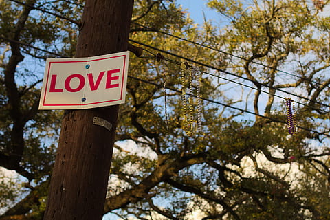 Liebe, Lichtmast, Baum, Pflanze, Zeichen, Kommunikation, Flachwinkelansicht, Text, Baumstamm, Kofferraum, Fokus auf den Vordergrund, Ast, keine Leute, Natur, Tag, draußen, Warnschild, Wachstum, westliche Schrift, Beratung, rot, Information, 5K, CC0, gemeinfrei, lizenzfrei