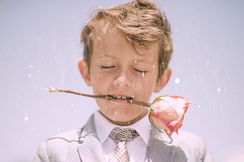 bloom, blossom, boy, child, cute, flora, portrait, rose, young, public domain images, headshot, childhood, holding, one person, men, indoors, males, front view, offspring, studio shot, boys, looking, close-up, emotion, nature, 4K, CC0, public domain, royalty free