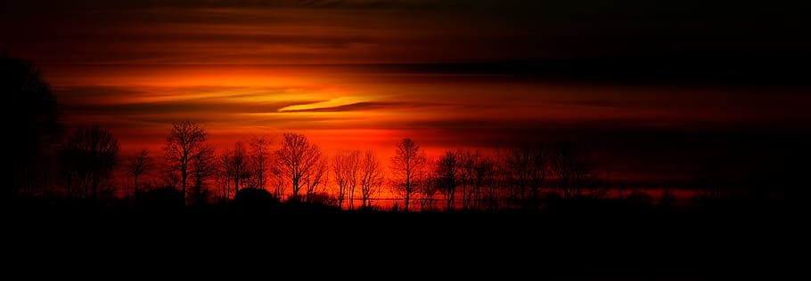 silhuet foto, træer, træ, serie, sol, orange, solnedgang, Abendstimmung, vejrstemning, skyer, atmosfære, gul, aftenhimmel, himmel, Kahl, aften, humør, silhuet, sky - himmel, scenics - natur, skønhed i naturen, rolig scene, plante, ro, orange farve, mørk, ingen mennesker, Skov, miljø, natur, landskab, jord, dramatisk himmel, majestætisk, fyrretræ, 5K