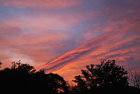 Sonnenuntergang, Wolken, Himmel, Sonne, Natur, Landschaft, Sonnenuntergang Hintergrund, draussen, Sommerlandschaft, Baum, wolke - himmel, Silhouette, Schönheit in der Natur, Pflanze, Szenen - Natur, Ruhe, ruhige Szene, orange Farbe, keine Leute, Dramatischer Himmel, Wachstum, idyllisch, Nicht-städtische Szene, Flachwinkelansicht, draußen, Scheu, Wipfel, romantischer Himmel, Nadelbaum, 2K, CC0, gemeinfrei, lizenzfrei