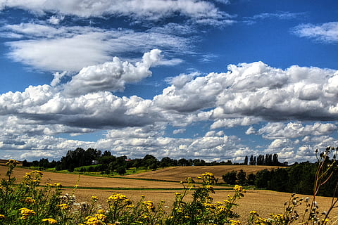 previsão, Largo, romance, nuvens, irreal, nebulosidade, impressões, ervas, entusiasmo, distante, ponto de vista, humor, idílio, ver, campo, colhido, Visão, distância, céu, nuvem - céu, panorama, meio Ambiente, scenics - natureza, cena rural, plantar, beleza na natureza, terra, agricultura, natureza, árvore, cena tranquila, Fazenda, tranquilidade, ninguém, cena não urbana, dia, idílico, ao ar livre, 5K, CC0, domínio público, royalty free