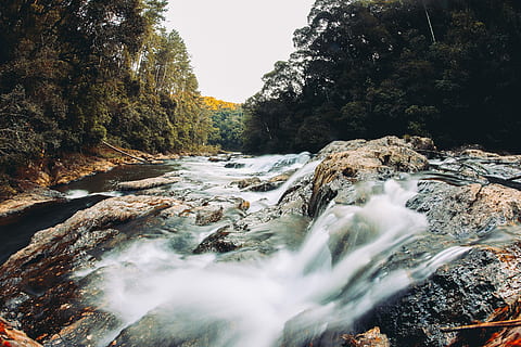 Zeitraffer Fotografie, Wasserfälle, Fluss Zeitrafferfotografie, Fluss, Stromschnellen, Strom, Wald, Wasser, Natur, Wasserfall, Schönheit in der Natur, Baum, Rock, fließendes Wasser, Szenen - Natur, Pflanze, Rock - Objekt, solide, Langzeitbelichtung, Bewegung, Tag, Land, Nicht-städtische Szene, keine Leute, fließend, draußen, Kraft in der Natur, 2K, CC0, gemeinfrei, lizenzfrei