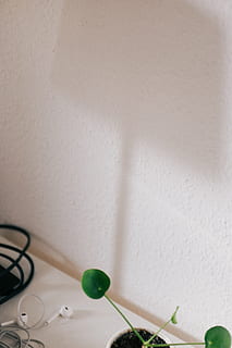 natura morta, oggetti, altro, in casa, copia spazio, tavolo, nessuno, avvicinamento, giorno, tecnologia, caratteristica della parete, colore verde, Colore bianco, foglia, parte vegetale, interno di casa, connessione, natura, decorazione, cavo, pianta, vista dall'alto, arte e artigianato, accessorio personale, 4K, CC0, dominio pubblico, privo di copyright