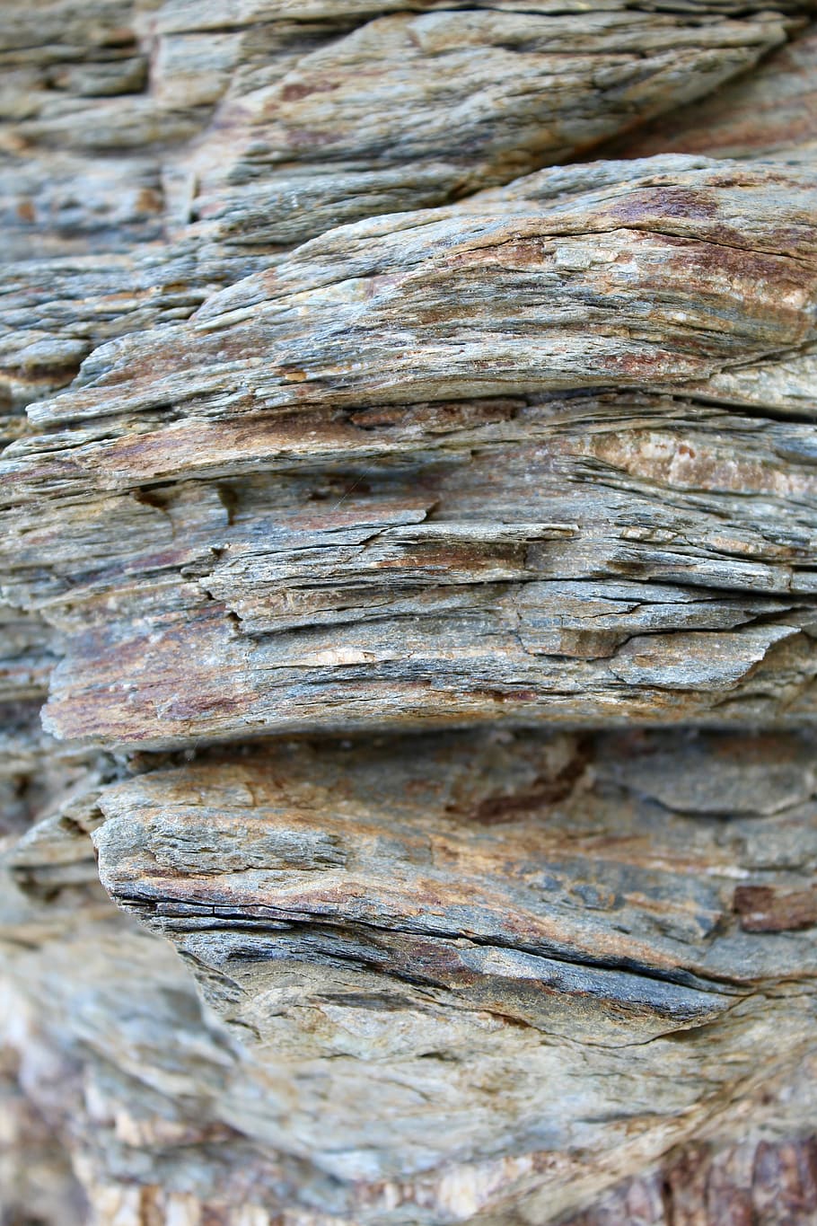 rock, layer, pedra, capes, rock, capa, formació de pedres, vell, tancar, fons, aspre, textura, tronc de l'arbre, marc complet, arbre, primer pla, cap gent, tronc, dia, patró, escorça de la planta, a l'aire lliure, naturalesa, enfocament selectiu, planta, material de fusta, patró natural, marró, centrar-se en primer pla, 5K
