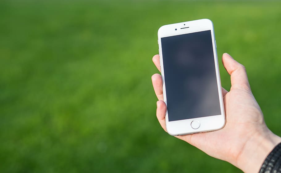 persona, celebració, iphone d'or 6, smartphone, blanc, iphone, tecnologia, pantalla, dispositiu, sense fils, telèfon mòbil, telèfon, dona, mà, mantingui, Mitjà de comunicació social, negocis, sobre fons verd, verd, naturalesa, herba, camp, poma, anomenada, modern, Internet, contacte, ordinadors portàtils, comunicació, gran, tecnologia sense fils, mà humana, dispositiu d’informació portàtil, part del cos humà, telèfon intel·ligent, còpia espai, connexió, missatge de text, portabilitat, a l'aire lliure, adult, xarxa d’ordinadors, pantalla del dispositiu, comunicacions globals, en blanc, missatge, 4K