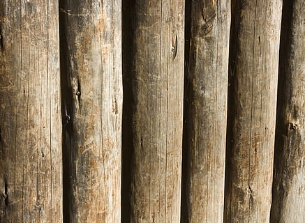 tre, tekstur, struktur, bakgrunn, veggbrett, trevegg, tre - materiale, natur, mønster, strukturert, brun, nærbilde, gammel, tømmer, trestamme, tømmerindustrien, full ramme, ingen folk, skog, side ved side, overflod, dag, Logg, stor gruppe gjenstander, utendørs, bambus - plante, 2K, CC0, offentlig domene, opphavsrett gratis