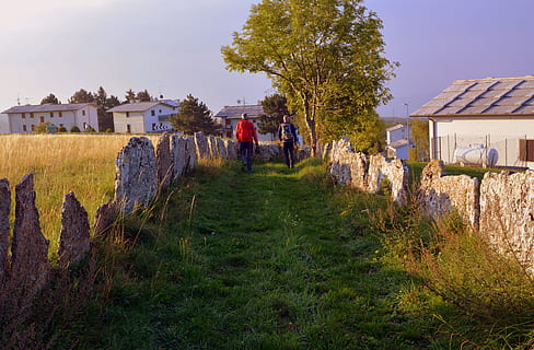 escursione, camminare, autunno, alberi, montagna, il percorso europeo, e5, Lessinia, Italia, pianta, esterno dell'edificio, architettura, erba, struttura costruita, natura, uomini, adulto, due persone, Casa, donne, costruzione, persone, persone reali, terra, albero, cielo, retrovisore, campo, all'aperto, 5K, CC0, dominio pubblico, privo di copyright