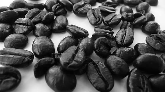 foto em tons de cinza, grãos de café, cafeína, assado, café, feijões, capuccino, mocha, aroma, bebida, manhã, café da manhã, quente, colheita, Java, sabor, gourmet, natural, café com leite, moer, fermentar, agricultura, ingrediente, comida e bebida, ninguém, Comida, fechar-se, Alimentação saudável, dentro de casa, ainda vida, grande grupo de objetos, frescura, bem-estar, abundância, foco seletivo, grão de café torrado, noz, fruta, café - bebida, mesa, Castanho, porca - comida, lanche, 2K, CC0, domínio público, royalty free
