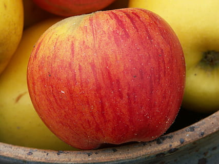 măr, roșu, numai, alimente, fruct, prospeţime, organic, copt, mancare vegetariana, mâncat sănătos, mancare si bautura, bunăstare, a închide, nici o persoana, mere - fructe, să se concentreze asupra primelor elemente, în interior, natură moartă, fructe de mango, zi, agricultură, grup de obiecte, galben, 2K, CC0, domeniu public, fără drepturi de autor