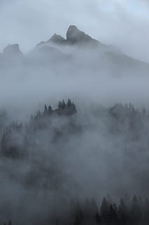 rūkas, debesys, kalnai, miškas, pobūdį, kraštovaizdį, mistinis, mįslingas, atmosferos, Alpių, Austrijoje, vorarlberg, montafonas, netgi, medžiai, dangus, romantiškas, nuotaika, grožis gamtoje, kalnas, ramioje scenoje, vaizdai - gamta, ramybė, nėra žmonių, ne miesto scenoje, debesis - dangus, aplinką, dieną, medis, lauke, kalnų, didingas, danga, ryte, miglotas, kalnų viršūnė, 4K, CC0, Viešasis domenas, nemokamai