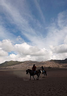 brom, gunung, øst Java, java, indonesien, bjerg, natur, Vulcano, smuk, naturlig, landskab, human, sand, mennesker, detisnations, berømt, pattedyr, dyre temaer, husdyr, dyreliv, dyr, hest, indenlandske, kæledyr, sky - himmel, himmel, hvirveldyr, gruppe af dyr, ridning, arbejdsdyr, ride, jord, rigtige mennesker, scenics - natur, udendørs, klima, tørt klima, 2K, CC0, offentligt domæne, royaltyfrie