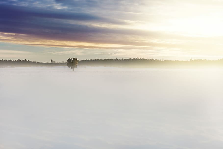 verde, albero, mezzo, nebbia, nuvoloso, cielo, area coperta di neve, nube, treeline, la neve, vento, crepuscolo, alba, freddo, montagna, all'aperto, fiume, parco, calore, scena tranquilla, la tranquillità, scenics - natura, bellezza nella natura, nuvola - cielo, acqua, lago, tramonto, natura, idilliaco, scena non urbana, temperatura fredda, nessuno, ambiente, paesaggio, sole, 1080P