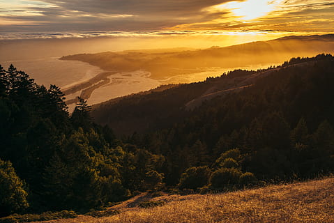 Foto, Skov, voksende, bjergside, stor, legeme, vand, grøn, træer, solnedgang, vinkel, fotografering, bjerg, træ, bakke, natur, landskab, scenics, udendørs, himmel, sollys, skønhed i naturen, solopgang - daggry, morgen, skumring, sky - himmel, daggry, sol, efterår, landlige scene, sommer, rolig scene, ikke-urbane scene, ingen mennesker, scenics - natur, plante, miljø, ro, jord, idyllisk, bjergkæde, nåletræ, fyrretræ, bjergtop, 5K, CC0, offentligt domæne, royaltyfrie