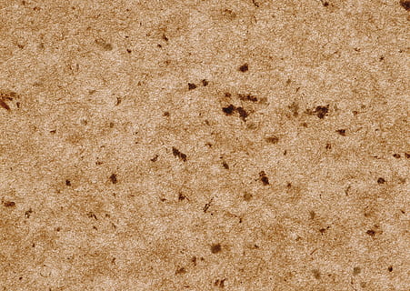 kork, textur, brun, bakgrund, bakgrunder, texturerad, mönster, abstrakt, full ram, inget folk, beige, närbild, grov, högvinkelvy, djur-, inomhus, natur, grunge, brunt papper, dag, papper, sand, fortfarande liv, hål, 2K, CC0, offentligt domän, royaltyfria