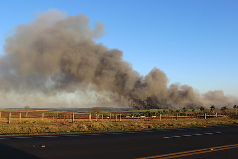 Fire, Landscape, Burned, Environment, plantation, smoke - physical structure, road, tree, outdoors, no people, steam, pollution, environmental issues, sky, nature, burning, fire - natural phenomenon, sign, air pollution, day, environmental damage, transportation, architecture, land, accidents and disasters, 5K, CC0, public domain, royalty free