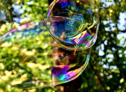 burbuja de jabón, enorme, grande, hacer pompas de jabon, Wabbelig, iridiscente, agua jabonosa, divertido, volar, vistoso, burbuja, fragilidad, vulnerabilidad, transparente, multi color, jabón sud, naturaleza, aire, varita de burbuja, día, reflexión, árbol, centrarse en primer plano, de cerca, al aire libre, nadie, planta, movimiento, forma, ligero, 4K, CC0, dominio público, libre de derechos