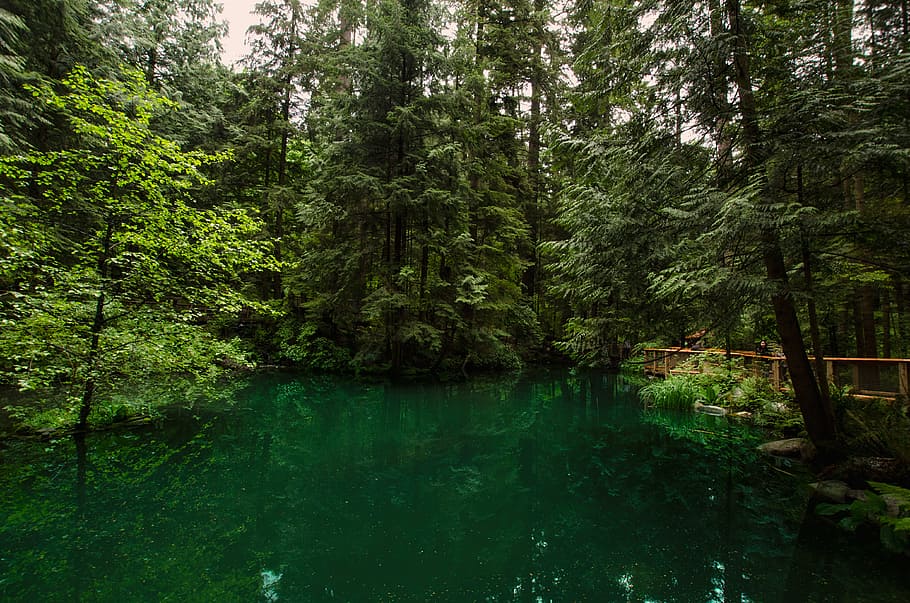 světlo, krajina, Příroda, voda, denní světlo, životní prostředí, les, zelená, jezero, venkovní, venku, park, rybník, odraz, scenérie, scénický, letní, cestovat, stromy, strom, rostlina, krása v přírodě, klid, zelená barva, klidné scény, scenics - příroda, růst, přistát, den, mimoměstské scény, idylický, nikdo, dálkový, deštný prales, tyrkysové barvy, 4K