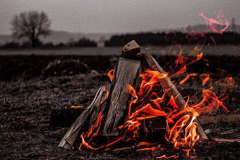Marrone, falò, grigio, campo, fuoco delle ossa, fuoco, fuoco di bivacco, fiamma, ardente, bruciare, fuoco - fenomeno naturale, calore - temperatura, legna da ardere, rosso, all'aperto, campeggio, natura, legno - materiale, nessuno, terra, raggiante, colore arancione, ceppo, legna, concentrarsi sulle conoscenze acquisite, ambiente, 5K, CC0, dominio pubblico, privo di copyright