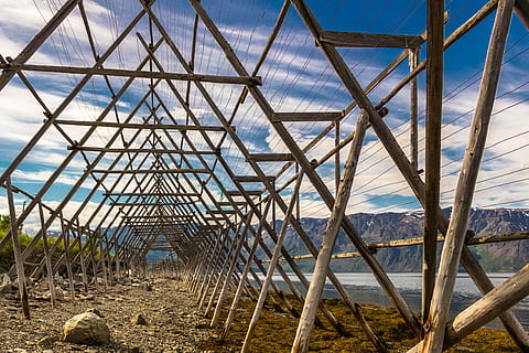 tørring af fisk, stativer til tørring af fisk, strukturer, linjer, dag, natur, himmel, ingen mennesker, bygget struktur, arkitektur, strand, vand, udendørs, jord, plante, metal, sollys, blå, hav, skønhed i naturen, forbindelse, mønster, vækst, 4K, CC0, offentligt domæne, royaltyfrie