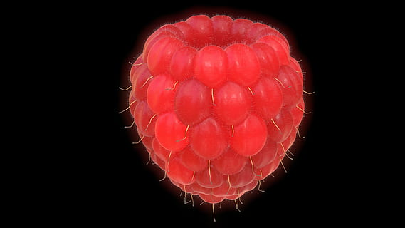 fruits rouges, framboise, fruit, rouge, grand, 3d, mixeur, fond noir, personne, prise de vue en studio, aliments, Nourriture et boisson, fermer, alimentation saine, à l'intérieur, illuminé, légume, bien-être, fraîcheur, science, forme de coeur, fruits des baies, coupé, 4K, CC0, domaine public, libre de droits