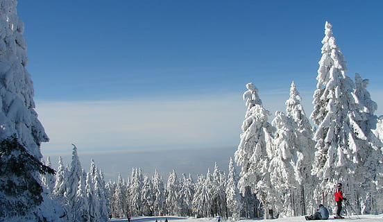 sne, træ, vinter, snedækket, træer, bjerge, hvid, Skov, landskab, østrig, natur, fred, kold temperatur, udendørs, skyfri himmel, himmel, skønhed i naturen, plante, dag, scenics - natur, Frosset, ikke-urbane scene, miljø, blå, hvid farve, rolig scene, ro, bjerg, snedækket bjerg, 2K, CC0, offentligt domæne, royaltyfrie