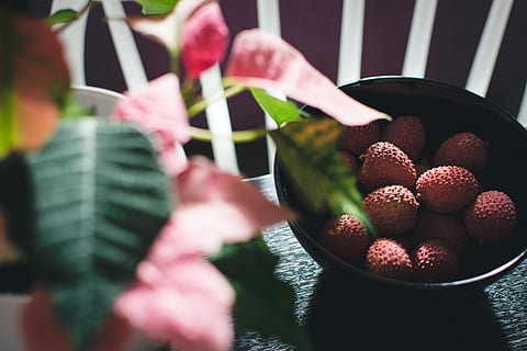 fresh litchi, Fresh, litchi, fruit, food, red, close-up, freshness, food and drink, healthy eating, human body part, wellbeing, strawberry, berry fruit, human hand, selective focus, hand, day, one person, holding, large group of objects, container, plant, lychee, ripe, 5K