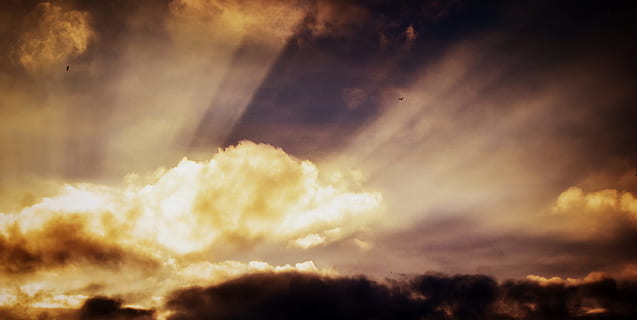foto dell'alba, luce del sole, penetrante, Marrone, nuvole, nuvole bianche, raggi, sole, nube, paesaggio, nuvoloso, natura, nuvola - cielo, Cloudscape, cielo, tempo metereologico, tramonto, cielo drammatico, all'aperto, buio, crepuscolo, Paesaggi, tempesta, sfondi, luce - fenomeno naturale, immagine a colori, cielo lunatico, bellezza nella natura, nessuno, nuvola temporalesca, raggio di sole, ambiente, scenics - natura, Paradiso, vento, astratto, meteorologia, luminosità, 5K, CC0, dominio pubblico, privo di copyright