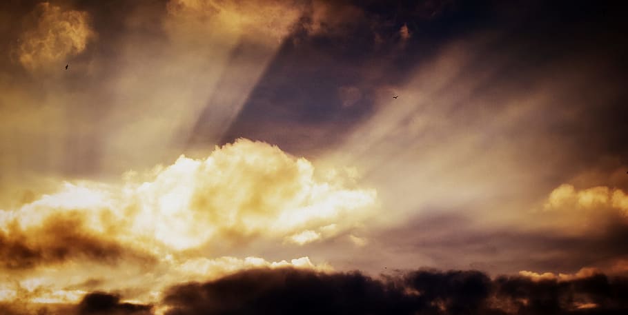 foto dell'alba, luce del sole, penetrante, Marrone, nuvole, nuvole bianche, raggi, sole, nube, paesaggio, nuvoloso, natura, nuvola - cielo, Cloudscape, cielo, tempo metereologico, tramonto, cielo drammatico, all'aperto, buio, crepuscolo, Paesaggi, tempesta, sfondi, luce - fenomeno naturale, immagine a colori, cielo lunatico, bellezza nella natura, nessuno, nuvola temporalesca, raggio di sole, ambiente, scenics - natura, Paradiso, vento, astratto, meteorologia, luminosità, 5K