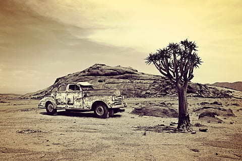 bianca, auto, albero, incidente d'auto, vecchi tempi, inossidabile, rottame, relitto, deserto, namibia, Africa, arrugginito, rotto, paesaggio, paesaggio desertico, vecchio, corrosione, intemperie, spoglio, decadimento, spento, scartato, pensionato, obsoleto, terreno estremo, fuoristrada, in stile retrò, natura, sabbia, clima arido, vecchio stile, 4x4, strada, all'aperto, sporco, modo di trasporto, mezzi di trasporto, cielo, terra, veicolo terrestre, veicolo a motore, giorno, ambiente, nuvola - cielo, viaggio, scena non urbana, bellezza nella natura, nessuno, scenics - natura, clima, Veicolo di utilità sportivo, 2K, CC0, dominio pubblico, privo di copyright