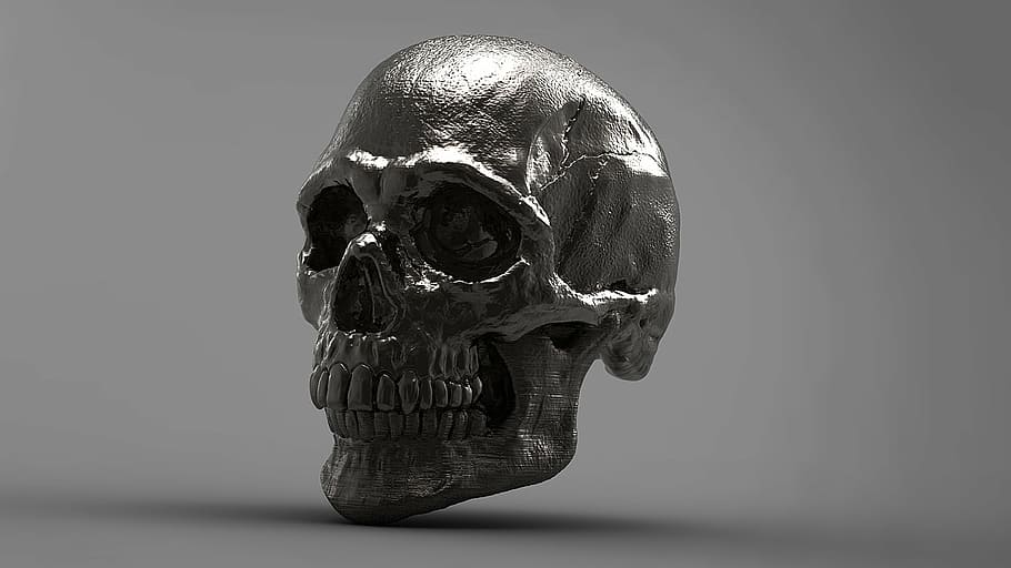 Figureta de crani de plata, plata, crani, 3d, esquelet, tir de l'estudi, sol objecte, primer pla, cap gent, a l'interior, temes d'animals, dia, representació, natura morta, celebració, metall, creativitat, ciència, reflexió, un animal, representació humana, fons gris, gris, color plata, fons negre, compost digital, 1080P