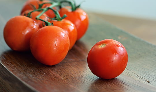 modne tomater meget, tomater, rød, frisk, grøntsag, mad, tomat, salat, sund og rask, ernæring, ingrediens, organisk, rå, friskhed, naturlig, moden, lækker, træ, sommer, bord, aftensmad, wellness, træ - materiale, Vegetarmad, sund kost, tæt på, mad og drikke, frugt, velvære, ingen mennesker, stilleben, saftig, gruppe af objekter, fokus på forgrunden, indendørs, natur, 2K, CC0, offentligt domæne, royaltyfrie