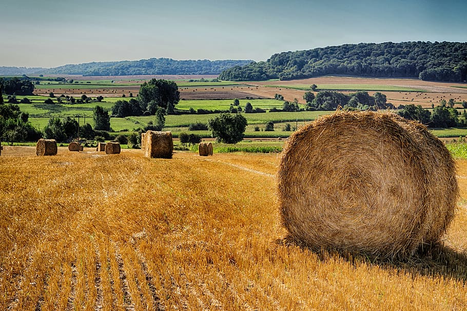 marró, hays, durant el dia, palla, camps, camp, agricultura, fenc, naturalesa, pre, collita, paisatge, pilotes, paquet, blat, rural, primavera, farratge, bala, planta, terra, escena rural, granja, medi ambient, escena tranquil·la, escenics - natura, tranquil·litat, cel, bellesa a la natura, herba, arbre, cultiu, muntanya, cap gent, a l'aire lliure, 5K