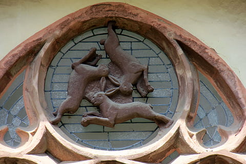 vindue, dyr, hare, hare vindue, Paderborn, Kunst og håndværk, ingen mennesker, kreativitet, repræsentation, skulptur, dag, håndværk, lav vinkel visning, menneskelig repræsentation, arkitektur, religion, spiritualitet, form, tæt på, murbygningsfunktion, geometrisk form, cirkel, bygget struktur, tro, statue, 4K, CC0, offentligt domæne, royaltyfrie