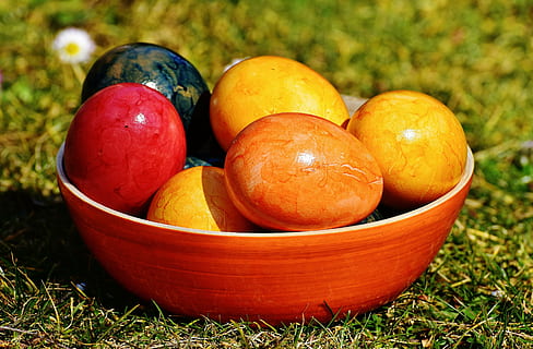 assorted, fruits, red, ceramic, bowl, shell, egg, colored, easter, happy easter, color, eggshell, colorful, food, easter eggs, boiled eggs, fruit, grass, healthy eating, day, food and drink, outdoors, no people, close-up, wellbeing, freshness, field, plant, land, orange color, nature, focus on foreground, group of objects, green color, orange, ripe, 5K, CC0, public domain, royalty free